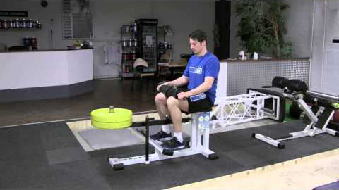 Seated calf raises