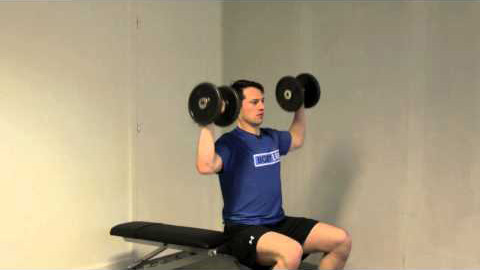 Dumbbell Shoulder Press